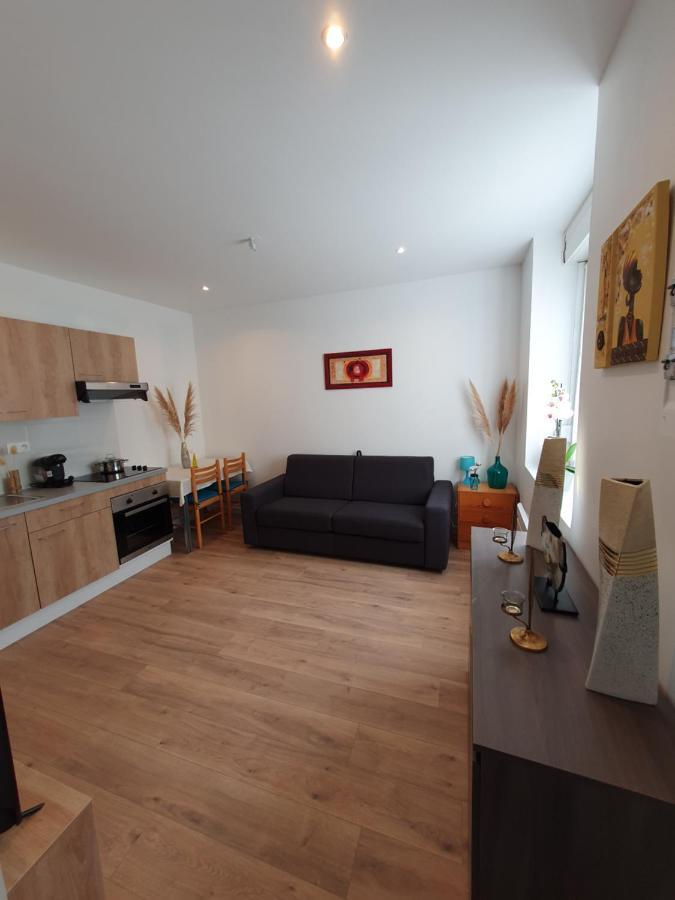 Appartement Savane 南锡 外观 照片