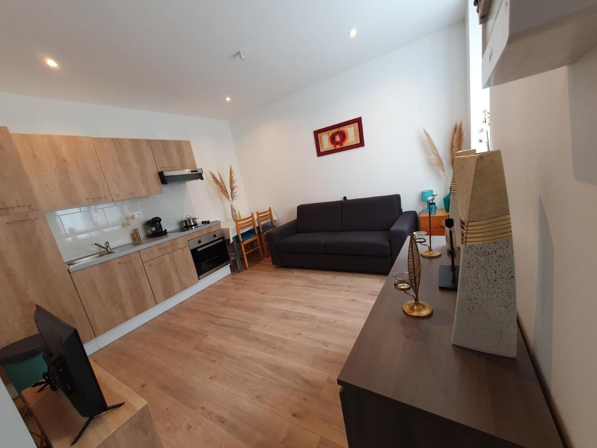 Appartement Savane 南锡 外观 照片